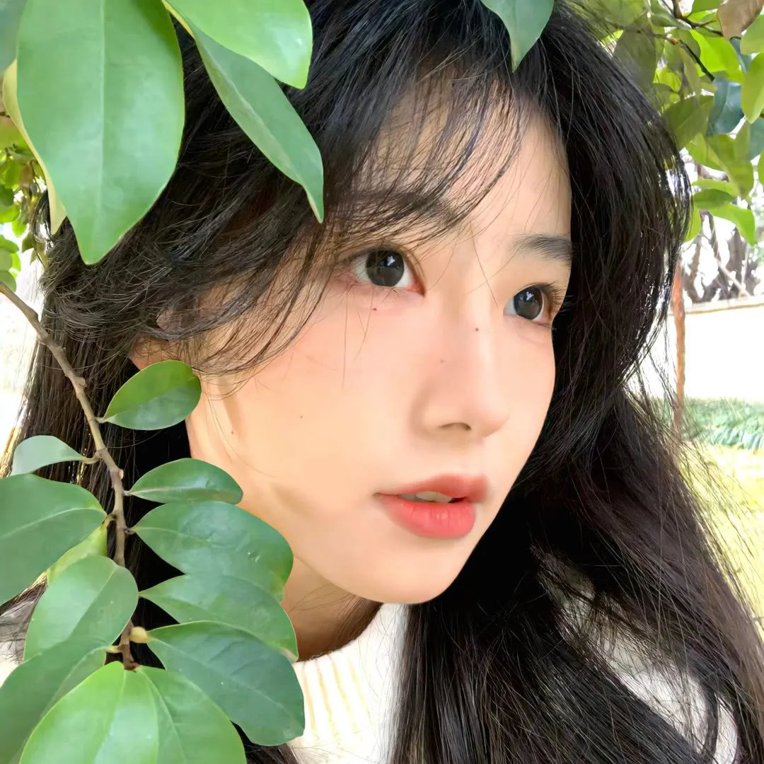 浣熊：新欧洲人